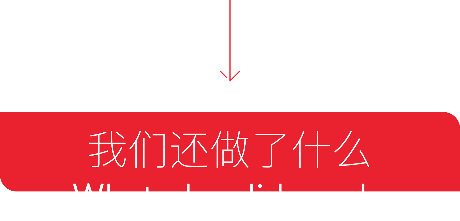 我们还做了什么 What else did we do